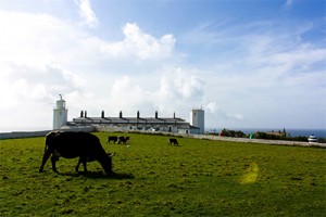 Lizard Point Lighthouse