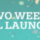 Less than Two Weeks til Launch!