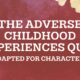 The Adverse Childhood Experiences Quiz: Adapted for Characters